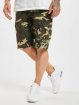 Dickies Short New York camouflage