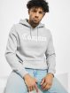 Mister Tee Hoodie Compton grey