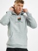 Mister Tee Sweat capuche Shoebox gris