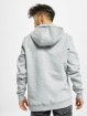 Mister Tee Sweat capuche Underground gris
