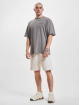 2Y Studios t-shirt Tiger Oversize grijs