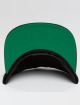 Mister Tee Snapback Caps NASA czarny
