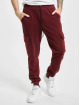 Aarhon Pantalon cargo Fleece rouge