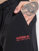 adidas Originals Cargo pants Adv Hose Cargo Pants čern