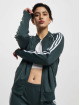 adidas Originals Chaqueta de entretiempo SST  PB verde