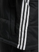adidas Originals Foretjakker Short sort