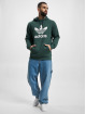 adidas Originals Hoodies Trefoil grøn