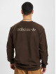 adidas Originals Jersey Loopback marrón