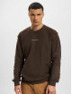 adidas Originals Jersey Loopback marrón