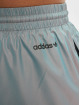 adidas Originals Jogginghose ST TP HL bunt