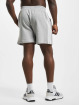 adidas Originals Pantalón cortos 3 Stripes gris