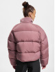 adidas Originals Puffer Jacket Short Down pink
