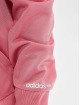 adidas Originals Sety Sweat pink