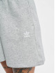 adidas Originals Short Originals Shorts grey