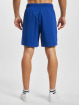 adidas Originals Shorts 3 Stripes blu