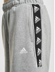 adidas Originals Shorts Originals grigio