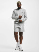adidas Originals shorts 3 Stripes grijs