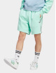 adidas Originals shorts C groen