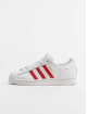 adidas Originals Sneakers Superstar vit