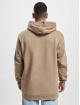 adidas Originals Sweat capuche Ess Logo brun