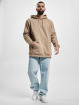 adidas Originals Sweat capuche Ess Logo brun