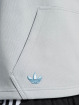 adidas Originals Sweat capuche Originals gris