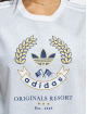 adidas Originals T-Shirt Originals Graphic T-Shirt grau