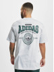 adidas Originals T-Shirt Loose gris