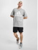 adidas Originals T-shirt Originals grå