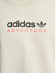 adidas Originals T-Shirt ADV MTN SPR silberfarben