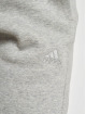 adidas Originals Verryttelyhousut ALL SZN Fleece harmaa