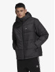 adidas Originals Winter Jacket Padded Hooded black