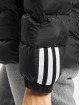adidas Originals Winter Jacket W Itavic M H J black
