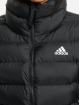 adidas Originals Winter Jacket W Itavic M H J black