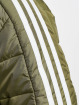 adidas Originals Winter Jacket ESS Down green