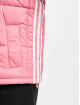 adidas Originals Winterjacke Short pink