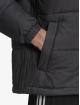 adidas Originals Winterjacke Padded Hooded schwarz