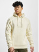 Airwalk Hoodie Mono beige