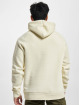 Airwalk Hoodie Mono beige