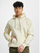 Airwalk Hoodie Mono beige