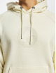 Airwalk Hoodie Mono beige