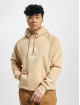 Airwalk Hoodie AIR05250 brown