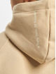Airwalk Hoodie AIR05250 brown