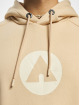 Airwalk Hoodie AIR05250 brown