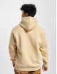 Airwalk Hoody AIR05250 braun