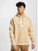Airwalk Hoody AIR05250 braun