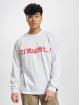Airwalk Longsleeve Rising Sun white