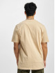 Airwalk t-shirt Mono bruin