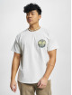 Airwalk T-Shirt PTerry Colour weiß