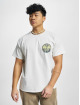 Airwalk t-shirt PTerry Colour wit